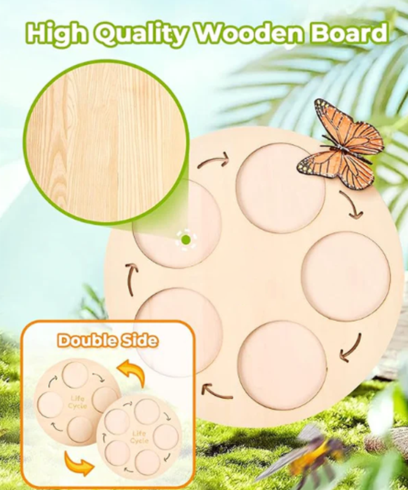 Montessori Life Cycle Learning Education Toy